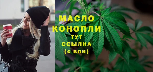 apvp Ельня