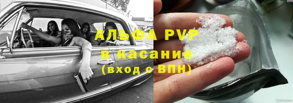 стаф Елабуга