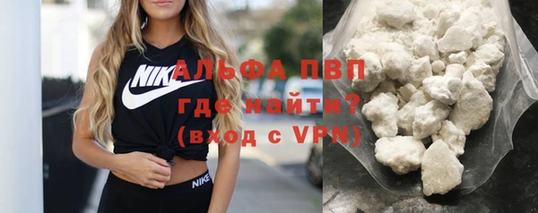 apvp Ельня