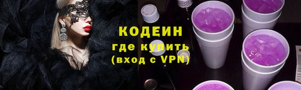 apvp Ельня