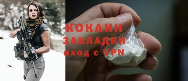 apvp Ельня