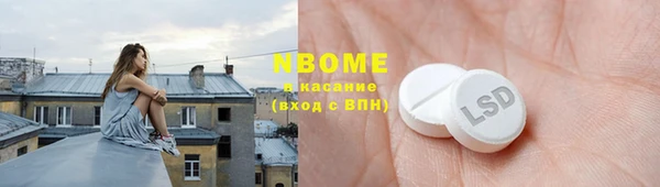 стаф Елабуга