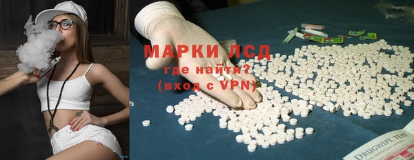 стаф Елабуга